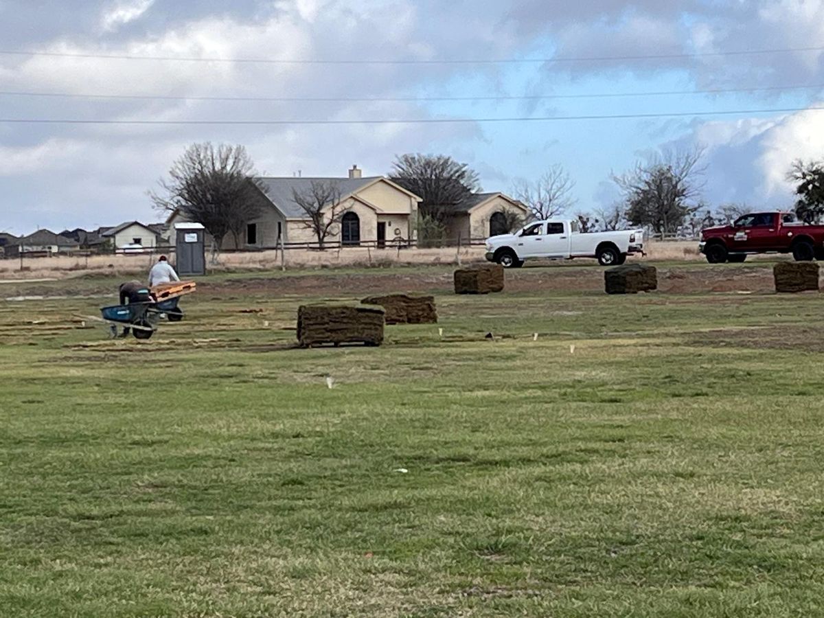 Sod delivery: flatbed truck unloads pallets of fresh sod on the Hutto outfield