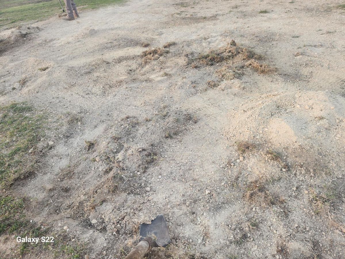 Forklift positions sod pallets as crew begins laying inner circle sections at Hutto