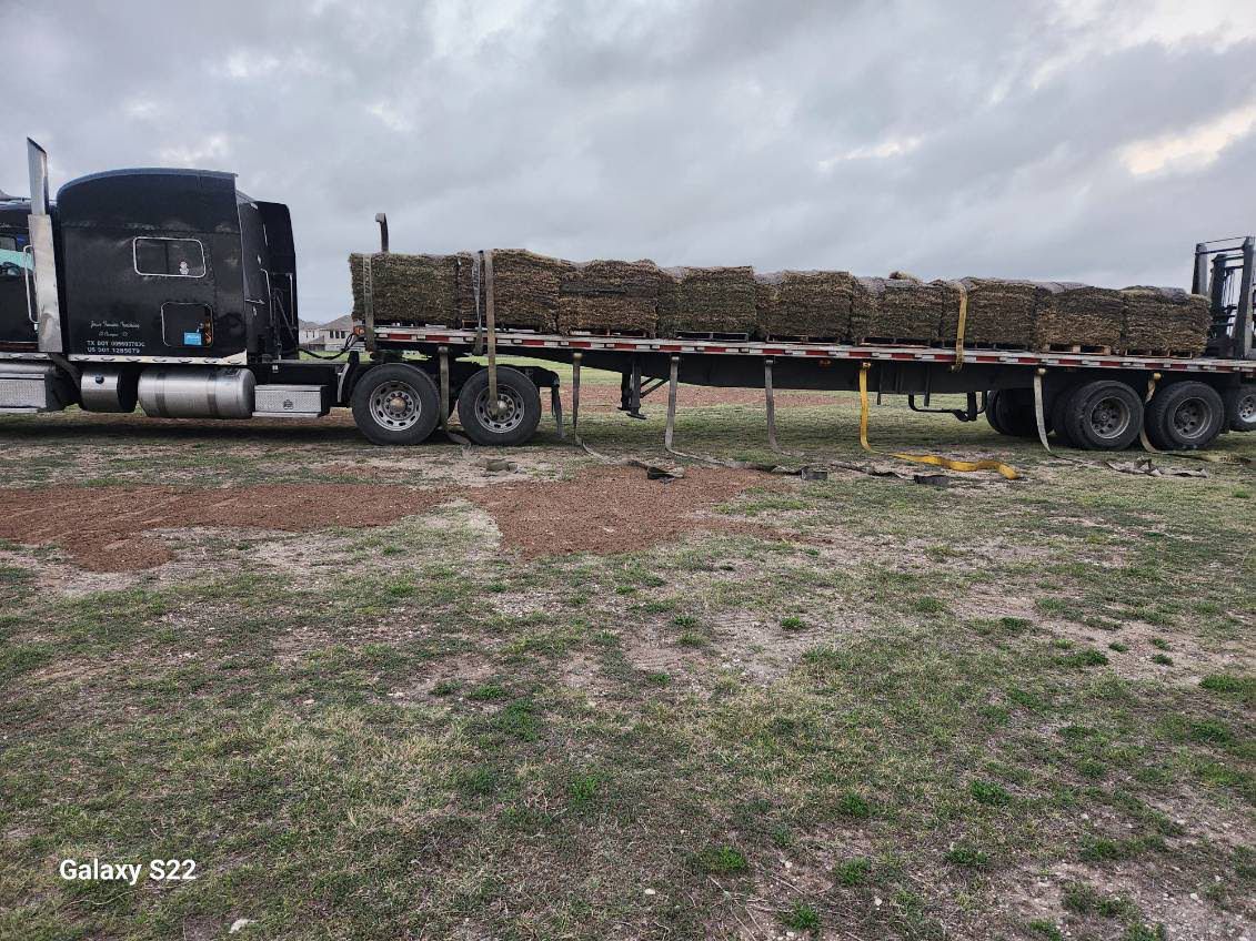 Crew hand-laying sod around the pitch and crease at Hutto